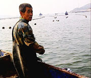 长岛温馨观海渔家