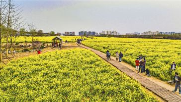 西海岸生态观光园12