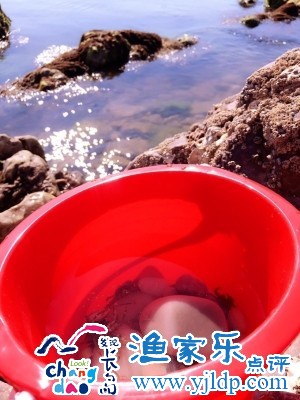 DSC00028.jpg