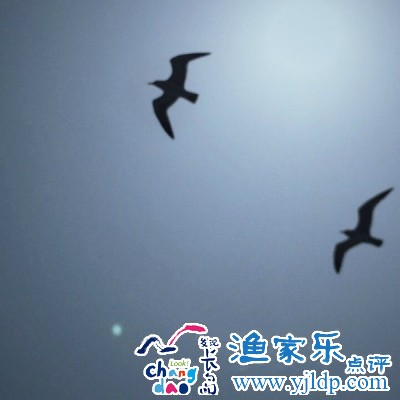 我去向何方简谱_我向何方去 我去向何方 vado 莫扎特(3)