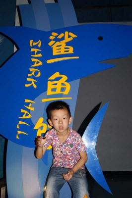 DSC0003.jpg
