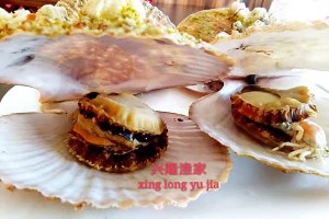 微信图片_20170424100510