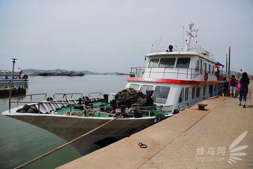 出海喂鸟吃海鲜 山东长岛让你玩到爽