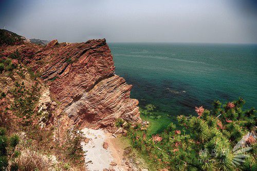 出海喂鸟吃海鲜 山东长岛让你玩到爽