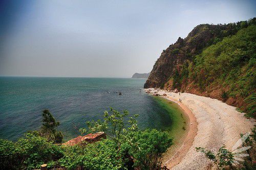 出海喂鸟吃海鲜 山东长岛让你玩到爽