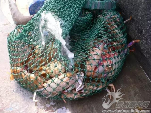 夏天的长岛永远25度，这个攻略，你未（yi)必(ding)用