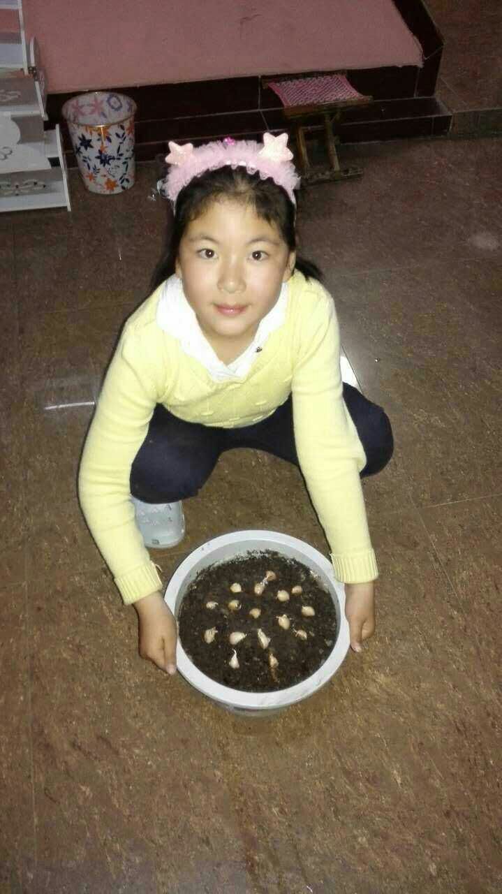 1494054554213144.jpg