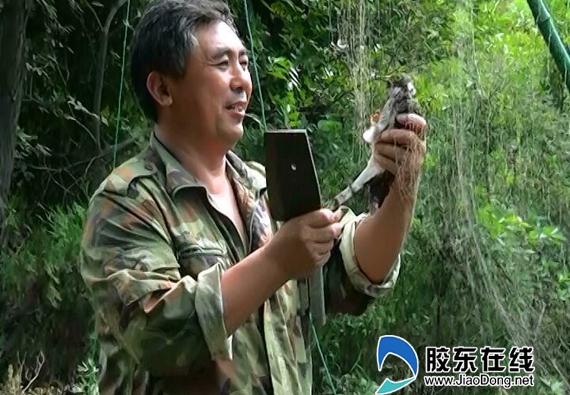 护鸟清网专项整治行动