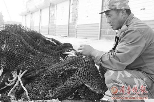 山东长岛大钦岛鱼死率猛增 疑为溢油惹祸(图)