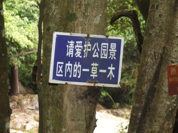 三明仙人谷国家森林公园图片23