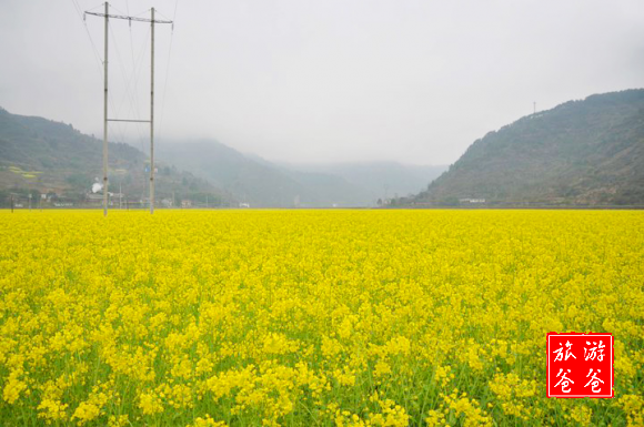 半山园休闲农庄