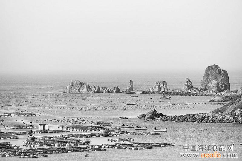 点击打开原图 南城隍箱海产养殖场地